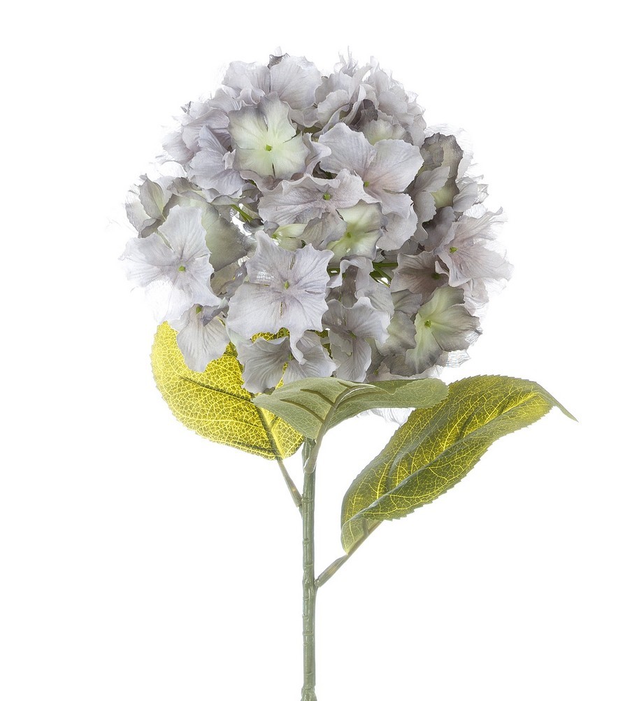 Ortensia Blanc Mariclò bluette 83cm